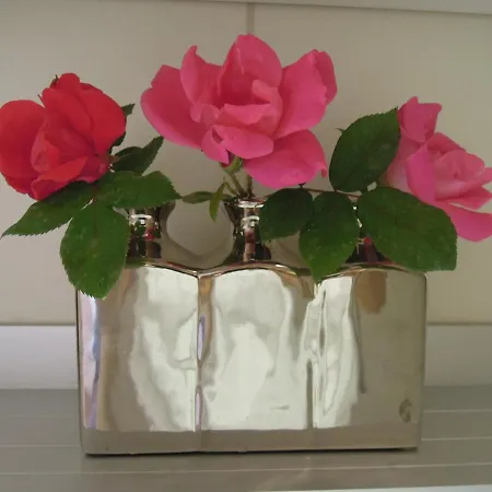 Stella Maris Appartement Umag