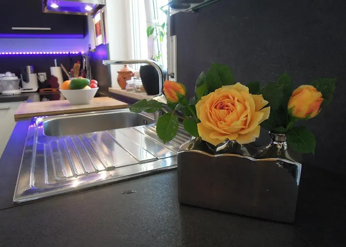 Stella Maris 아파트 *