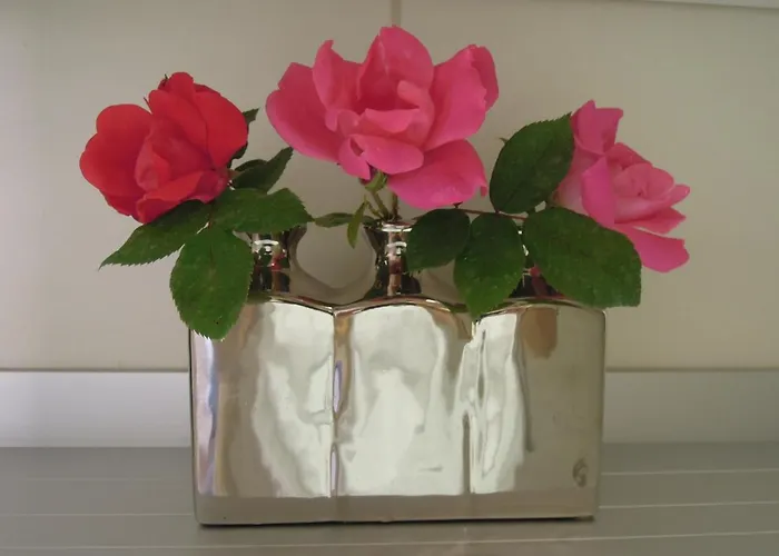 Stella Maris 아파트 우마그